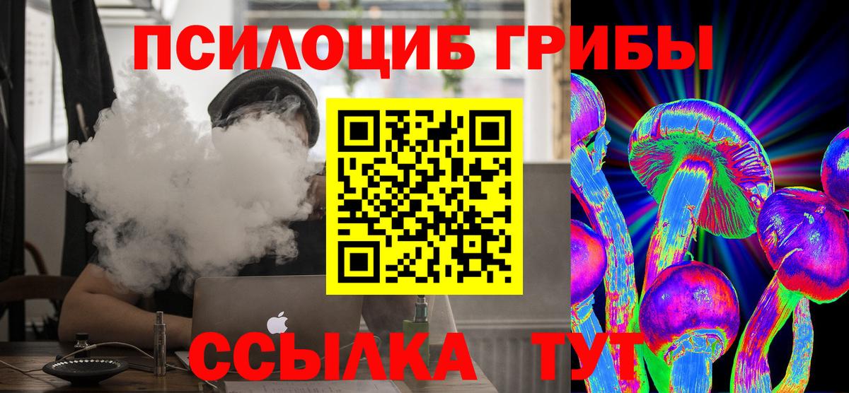 Галлюциногенные грибы Cubensis  Вход с VPN  Нижнеудинск 