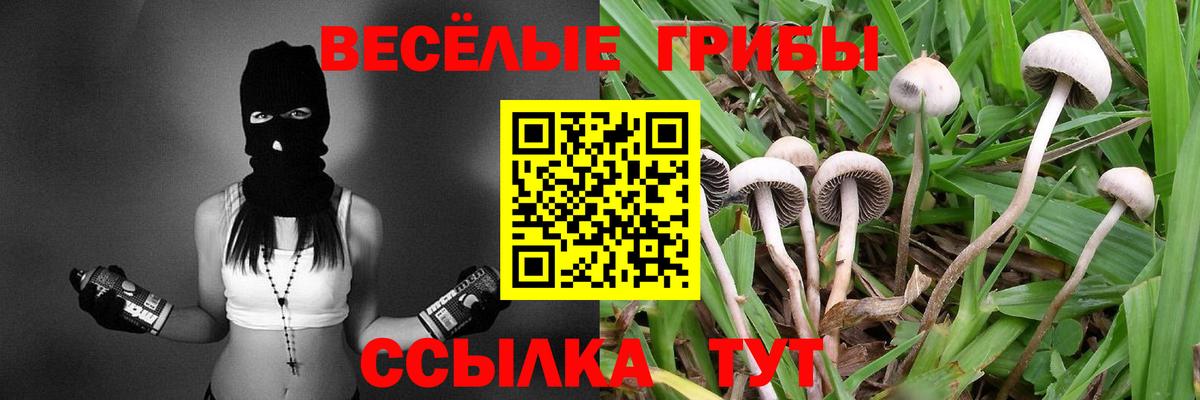 Галлюциногенные грибы Magic Shrooms Нижнеудинск